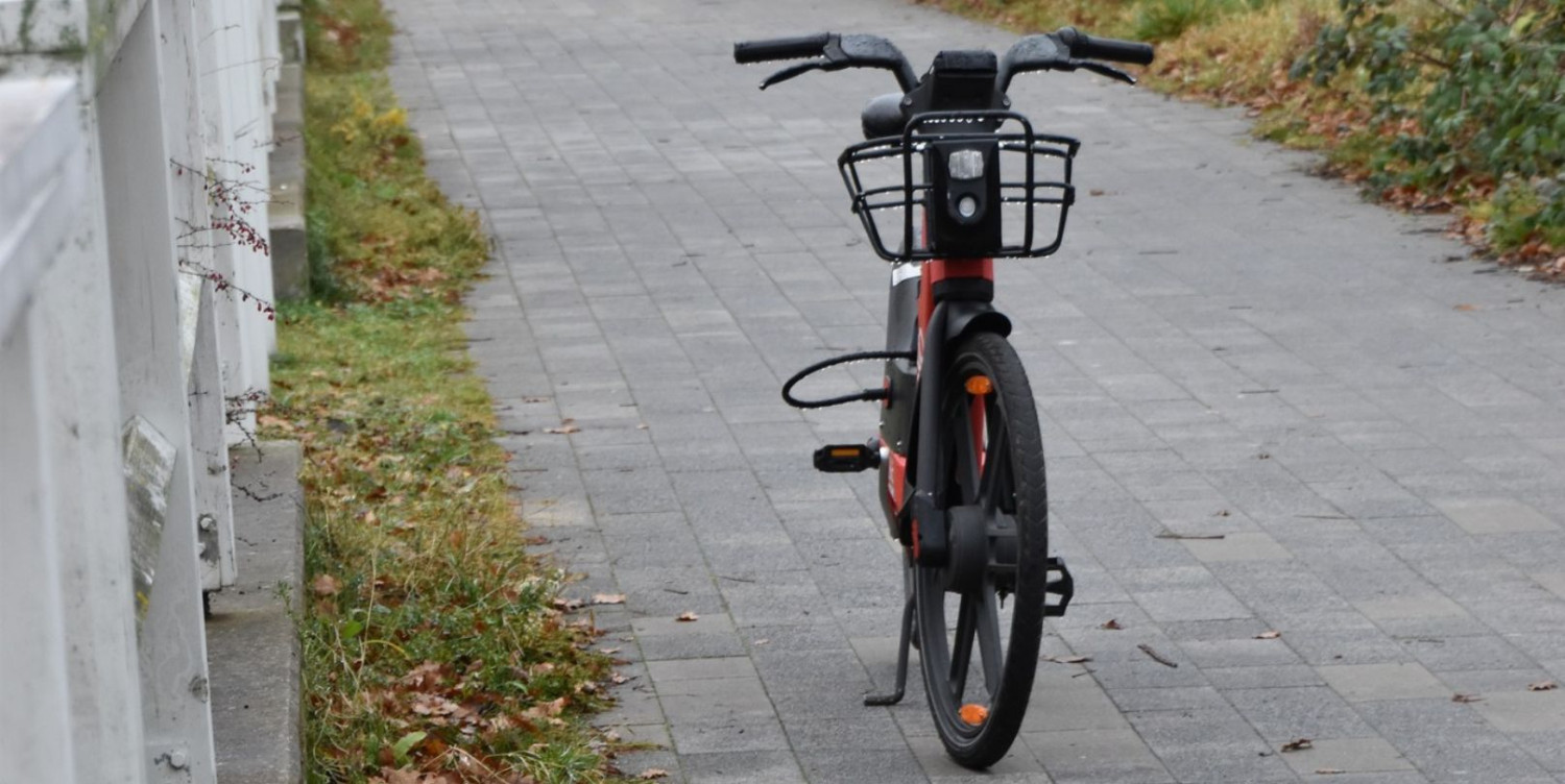 Zdjęcie nadesłane przez czytelnika. Zdjęcie nadesłane przez czytelnika.