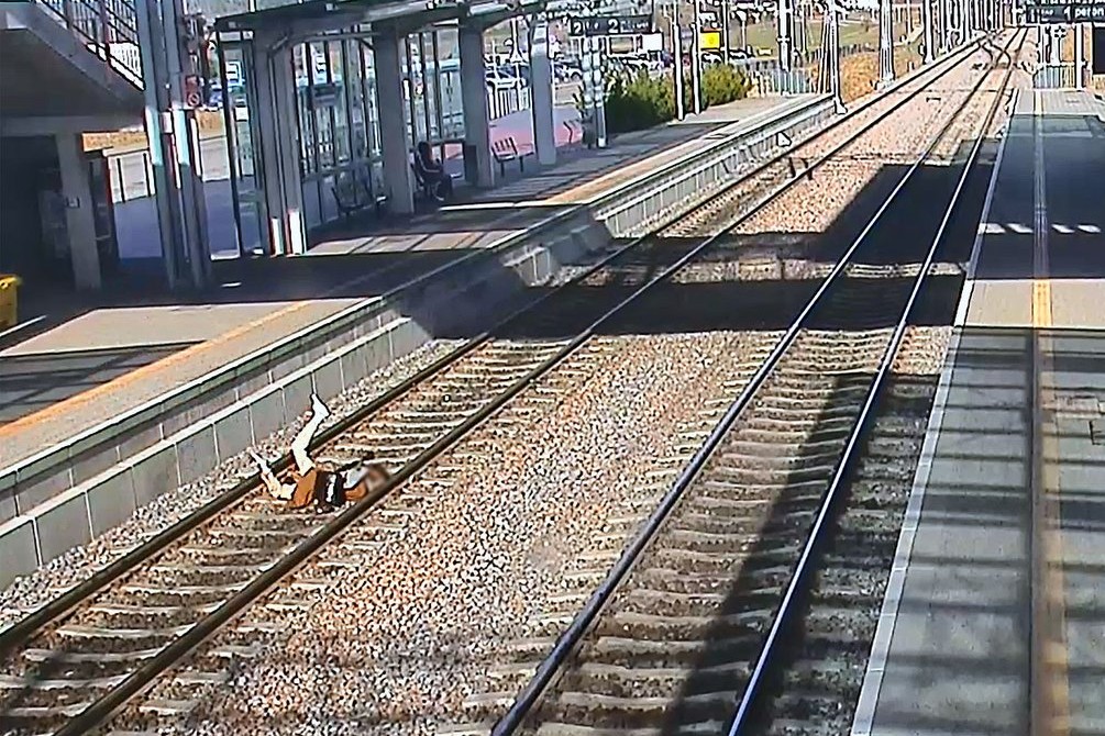 Fot. Pomorska Kolej Metropolitalna