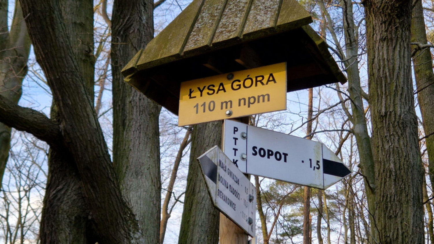 Fot. esopot.pl Fot. esopot.pl