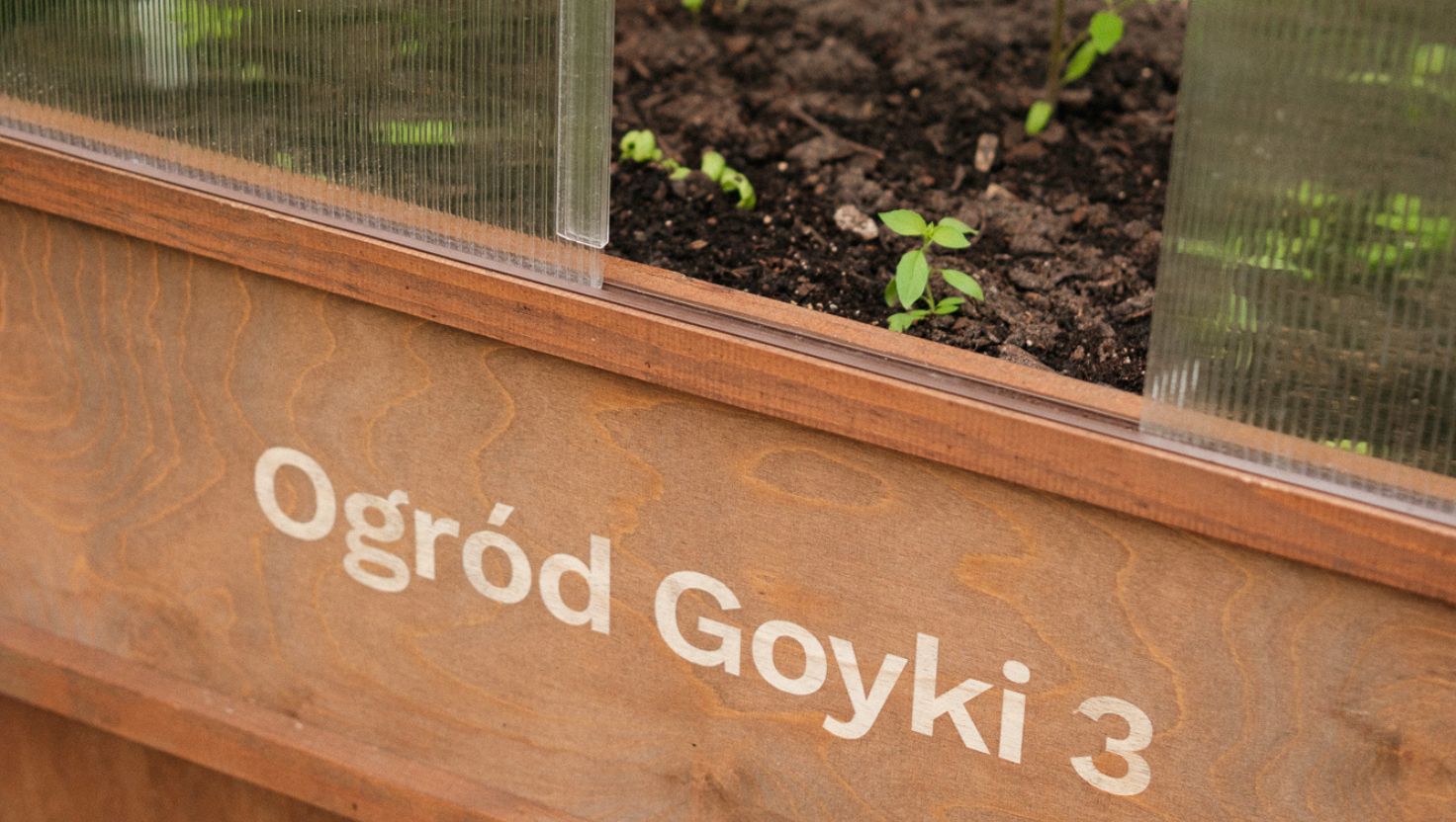 Materiały Goyki 3 Art Inkubatora.