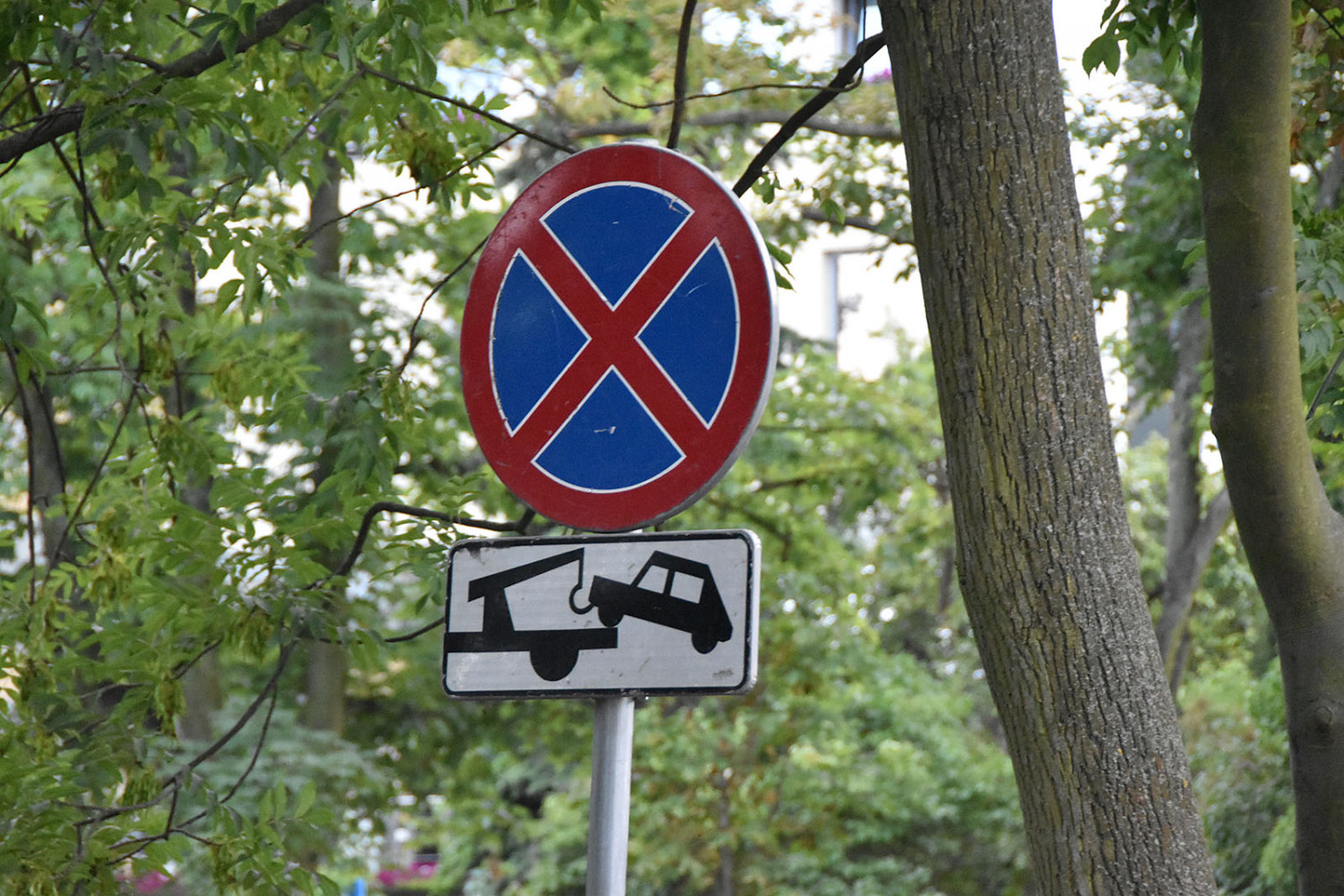 Parkowanie na zakazie Sopot