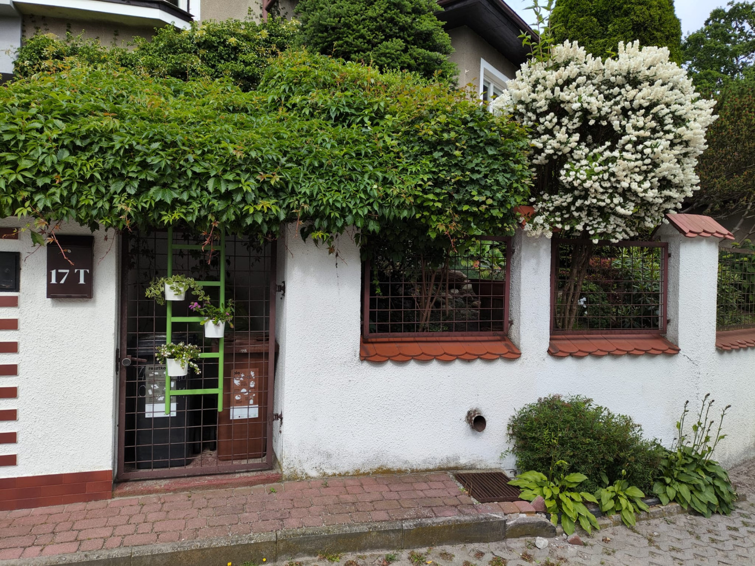 Fot. materiały UMS Fot. materiały UMS