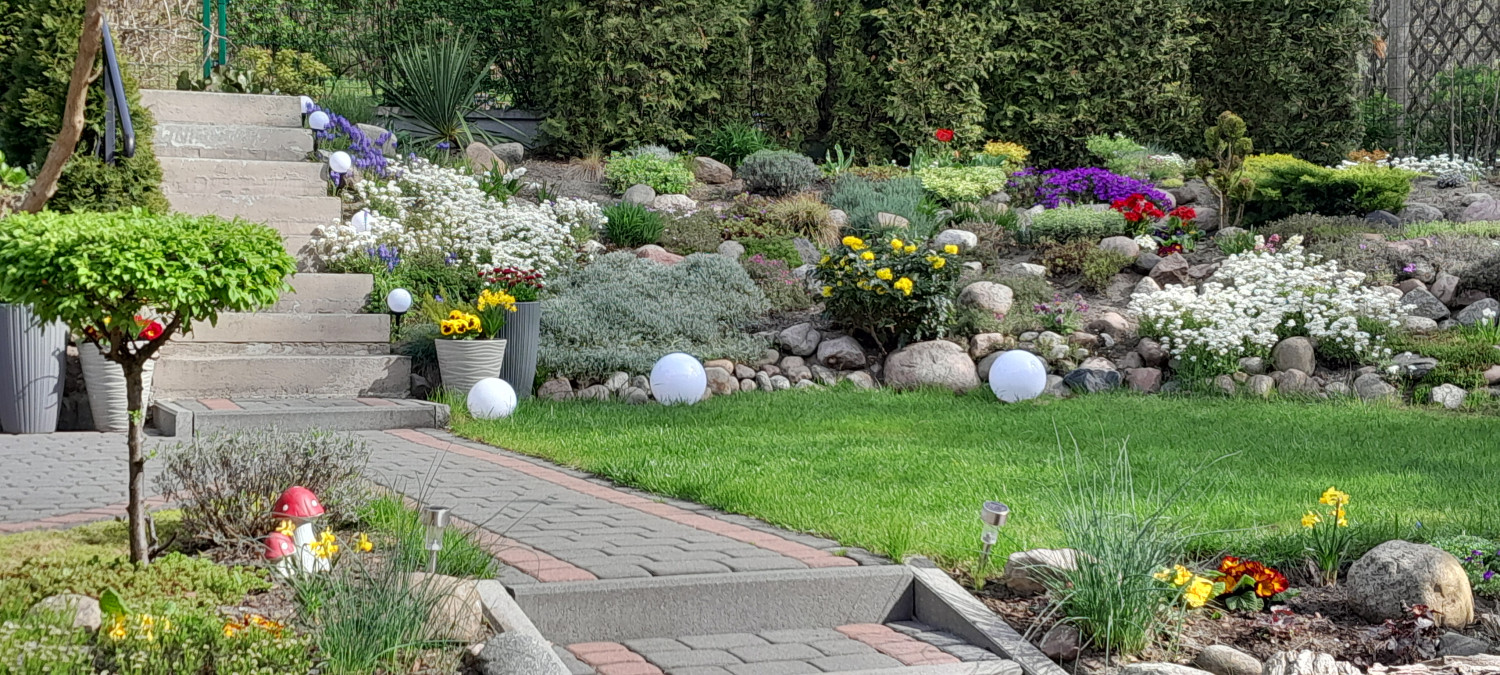 Fot. materiały UMS Fot. materiały UMS