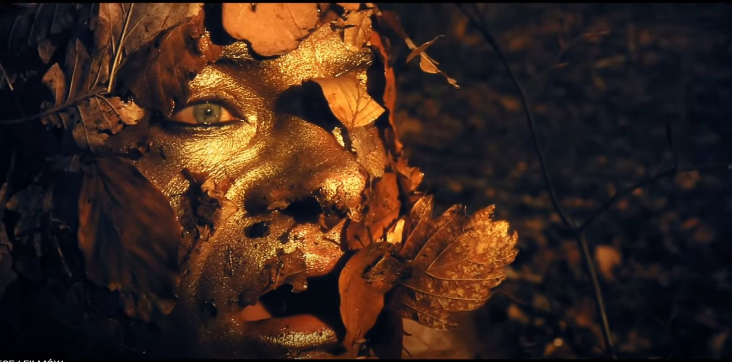 Kadr z filmu Like Leon Marka Nurzyńskiego