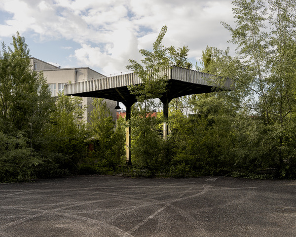Zenith - Pawel Jaskiewicz