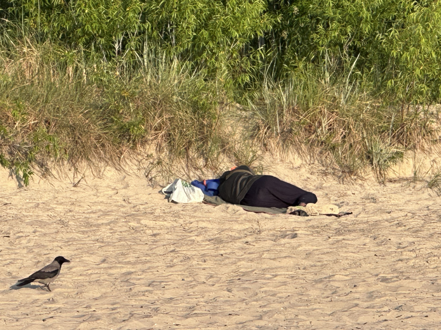 Osoba śpiąca na plaży w Sopocie. Fot. esopot.pl Osoba śpiąca na plaży w Sopocie. Fot. esopot.pl