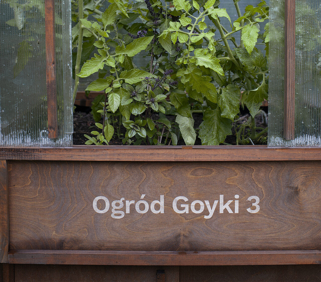 Materiały Goyki 3 Art Inkubatora