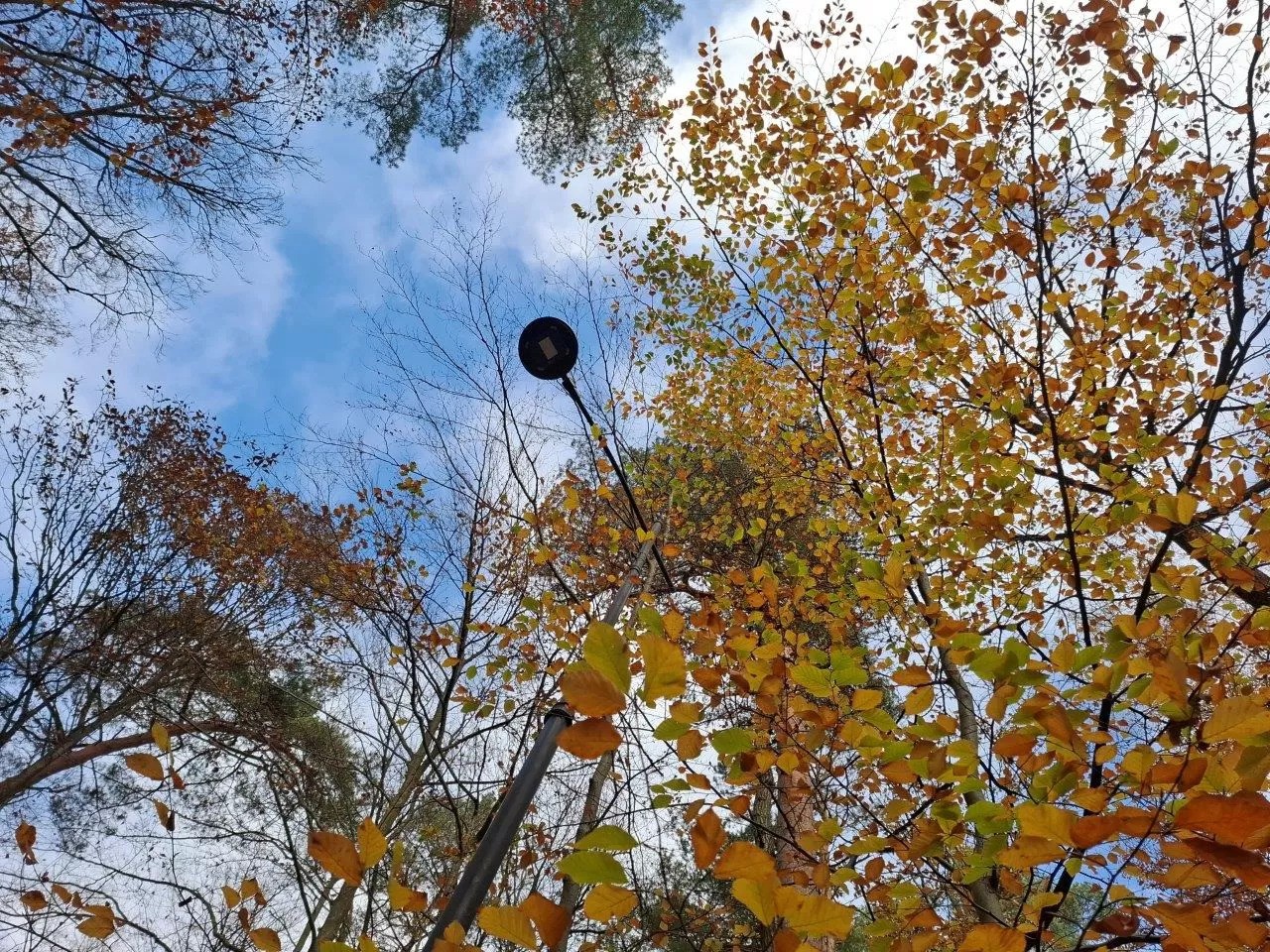 Materiały Zarządu Dróg i Zieleni w Sopocie