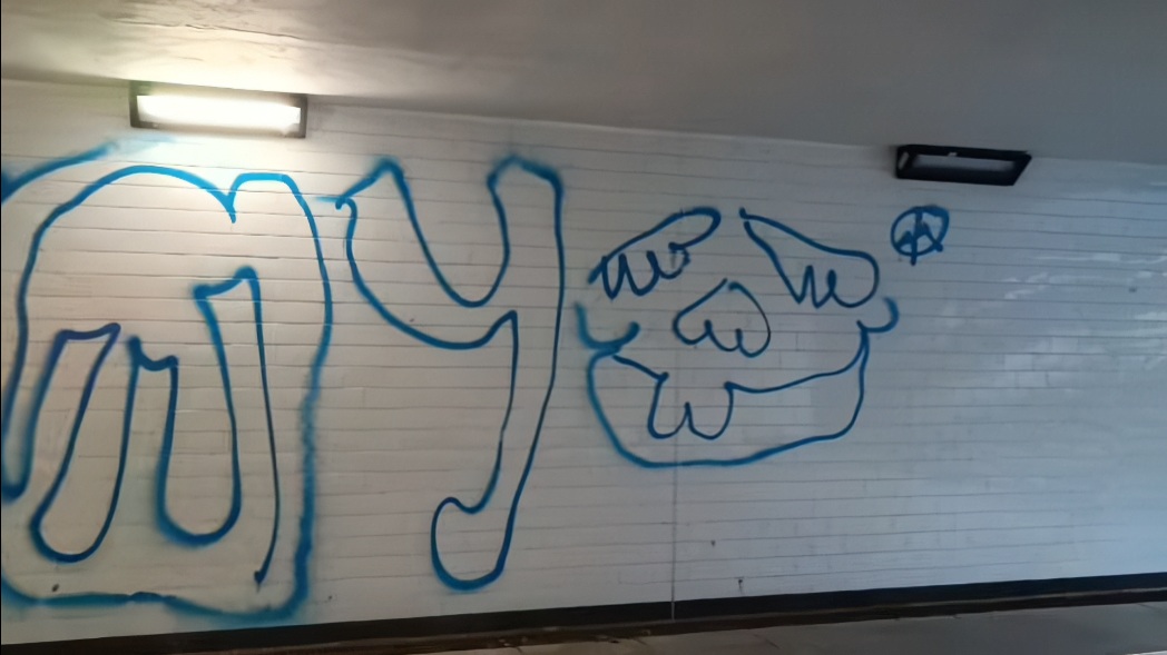 Kadr z wideo udostępnionego na facebookowej grupie Sopot w Imieniu Sopocian. Autor wideo: Gregory Peck