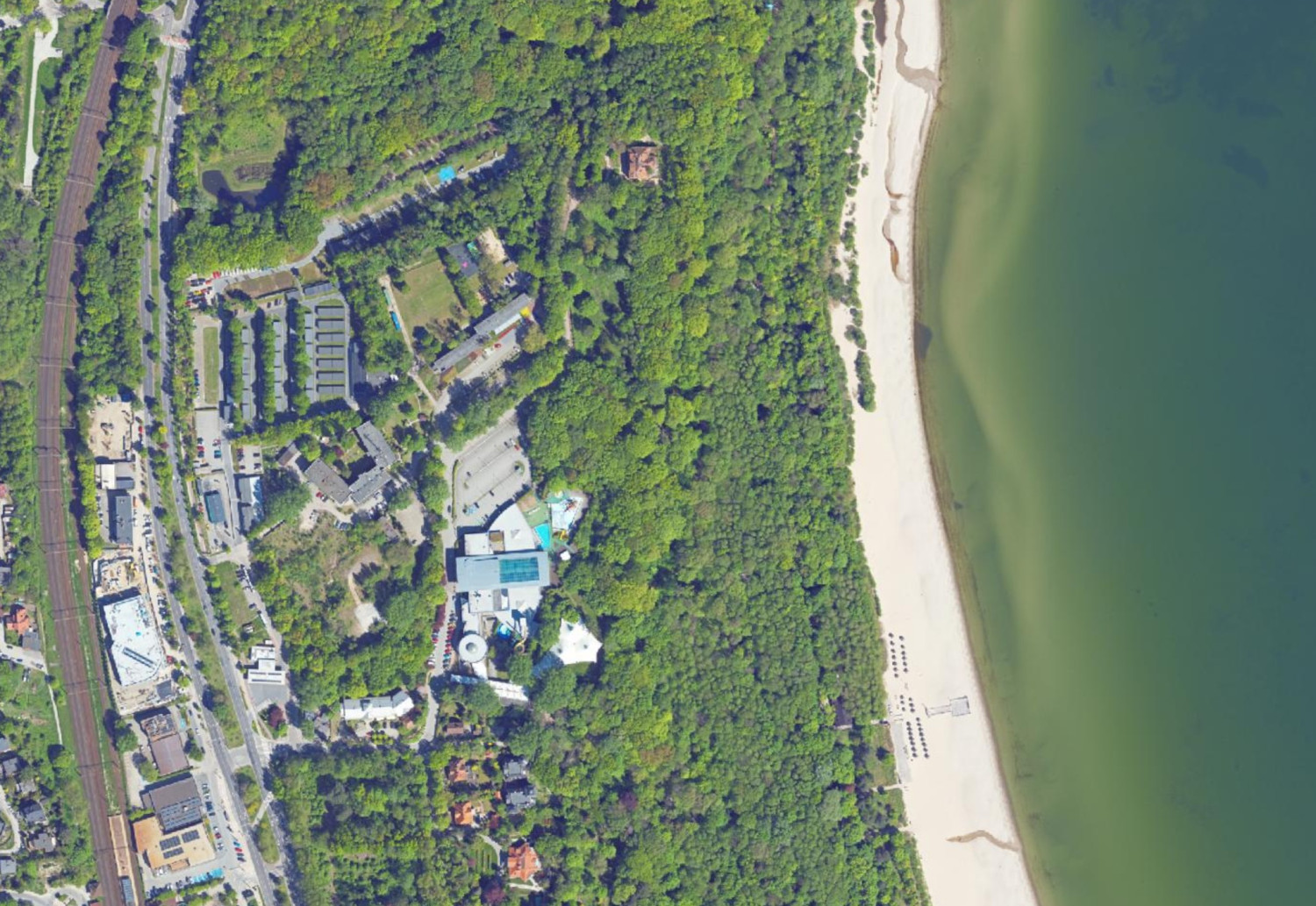 Fot. drzewa.um.sopot.pl