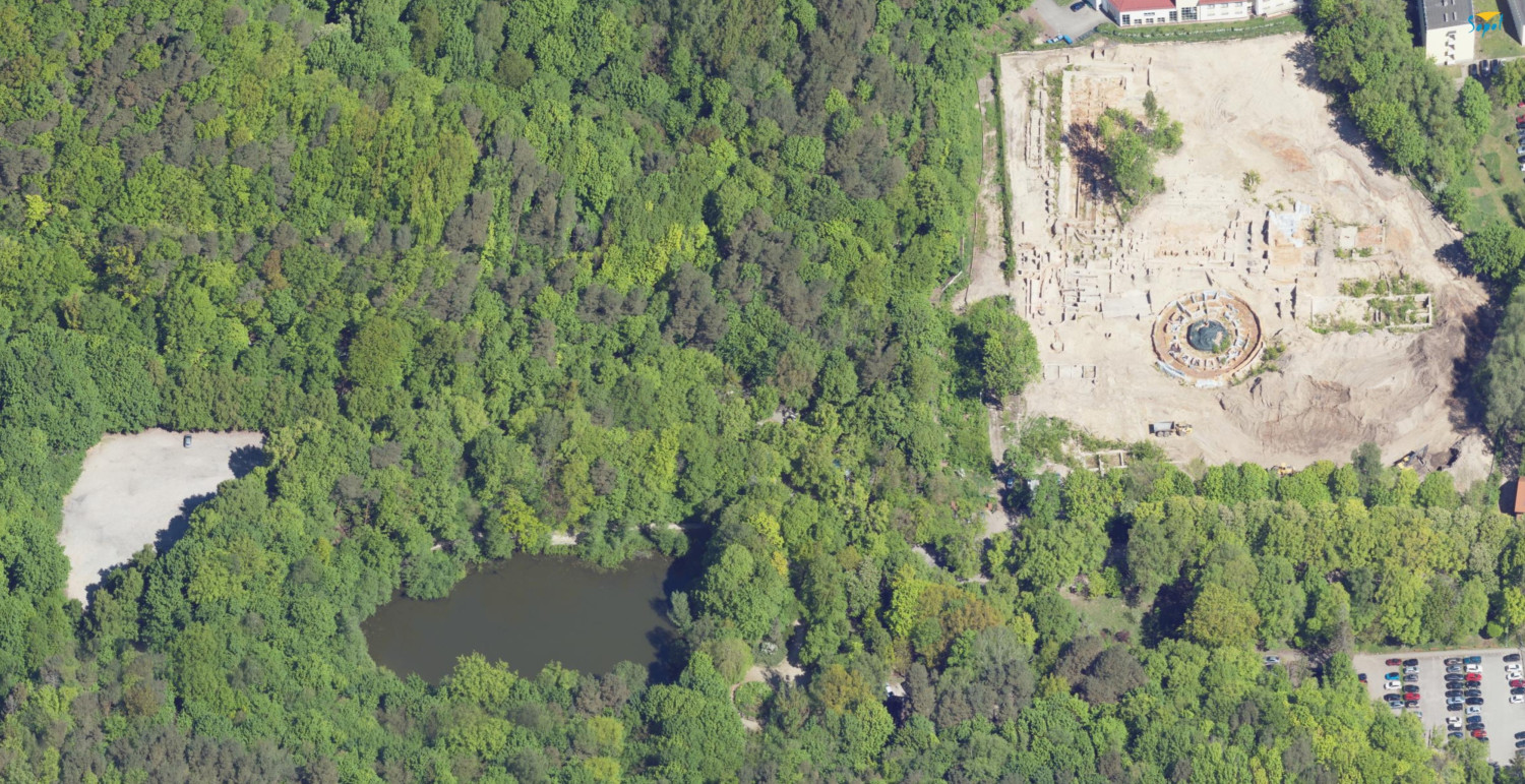 Fot. drzewa.um.sopot.pl Fot. drzewa.um.sopot.pl