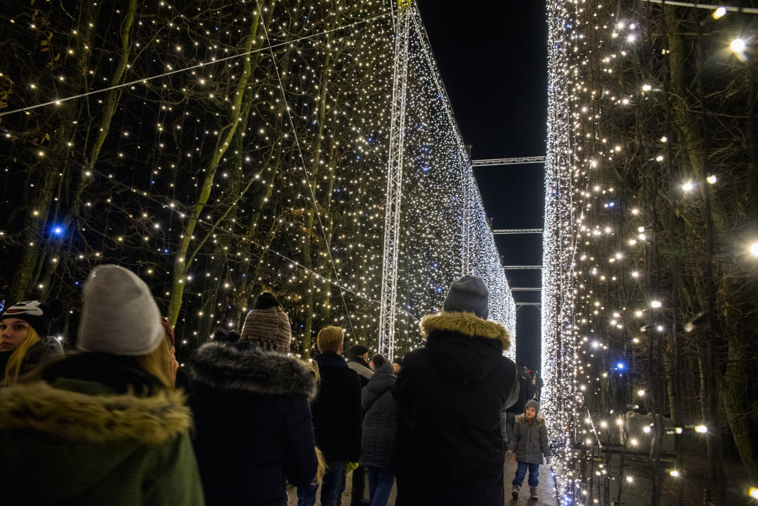 Kurtyna świetlna w Parku Oliwskim, fot. Dominik Paszliński