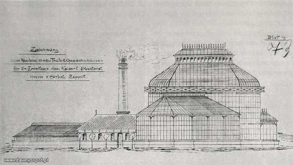 Boczny rzut projektu szklarni na terenie posiadłości Herbstów, rysunek z 1908 r. (MS Muzeum Sopotu, APG O. Gdynia), za: www.dawnysopot.pl.