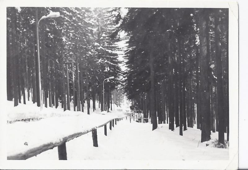 Tor saneczkowy w Sopocie, koniec lat 50. XX w. Fotografia ze zbiorów Muzeum Sopotu.